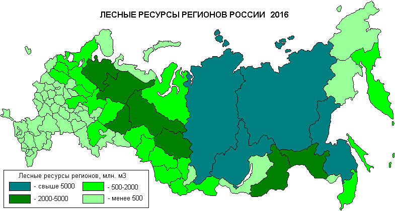 Лесные ресурсы россии фото